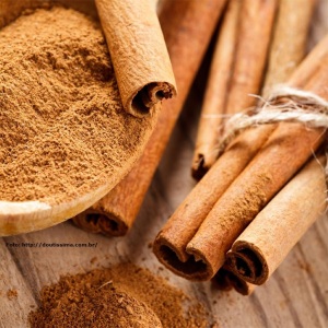 canela_cinnamon