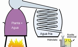 O que é um hidrolato?